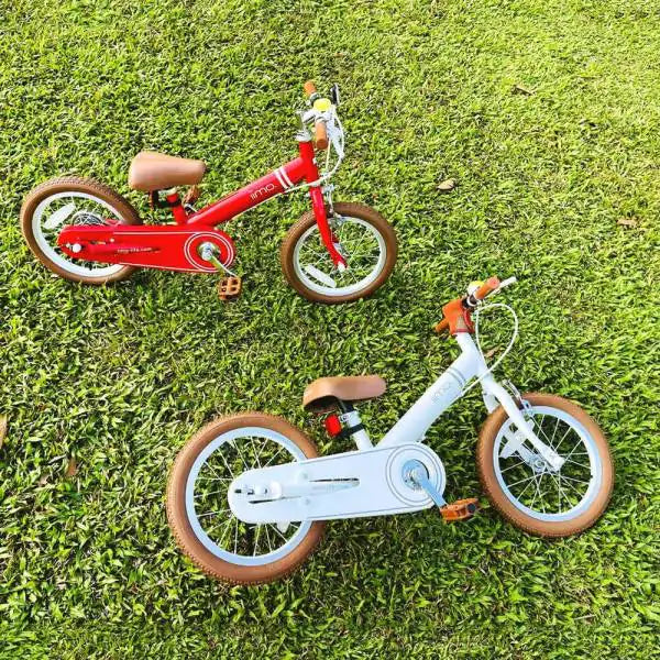 iimo 2-in-1 Balance Bike 14